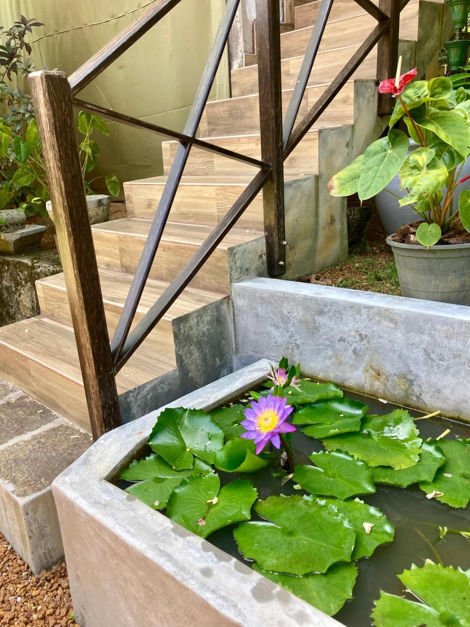 Dosemo Cabana 因都鲁瓦 外观 照片